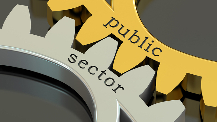 Risk Management In the Public Sector