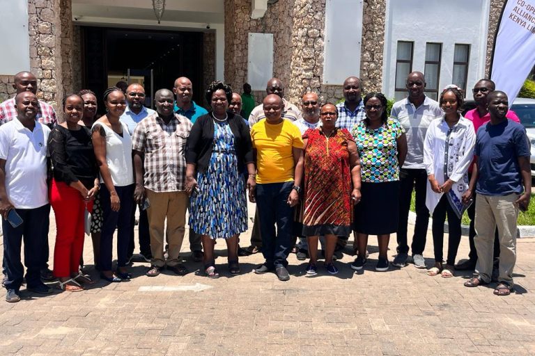 Generische furosemide